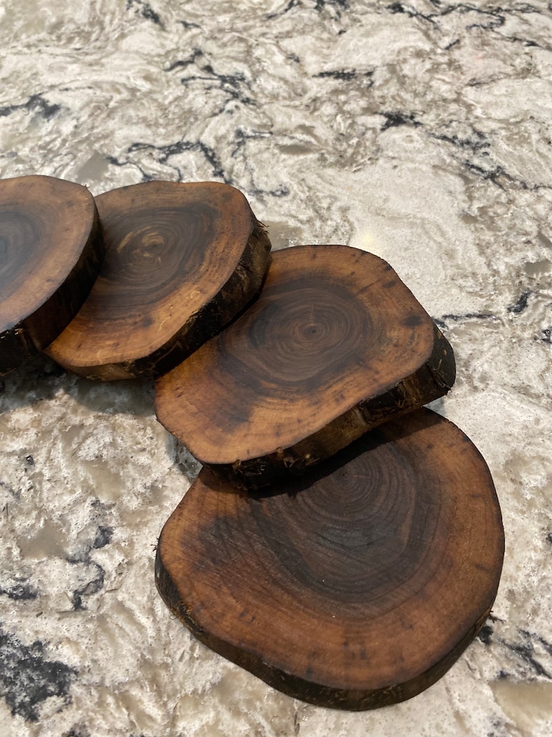 Black Walnut Wood Coasters, Rustic Wood, Wood Slices, Reclaimed Wood, Live Edge, Handmade, Upcycled Wood image 5
