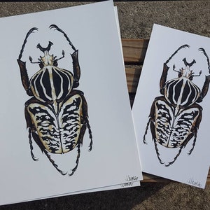 Goliath Beetle PRINT