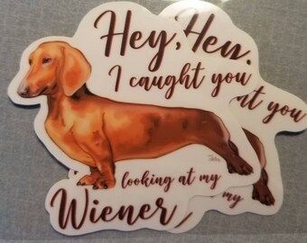 Wiener dog sticker, vinyl sticker, weenie dog, I caught you looking at my wiener, dog stickers