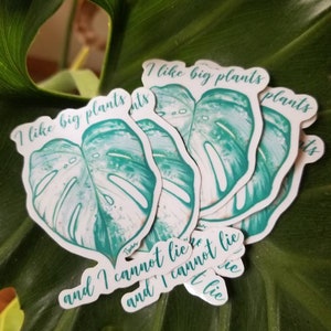I Like Big Plants And I Cannot Lie  glossy vinyl stickers