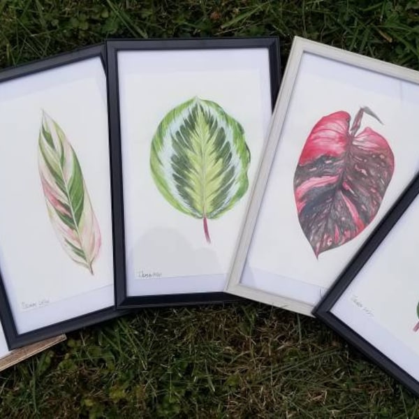 Tropical Watercolor Botanical ORIGINAL paintings