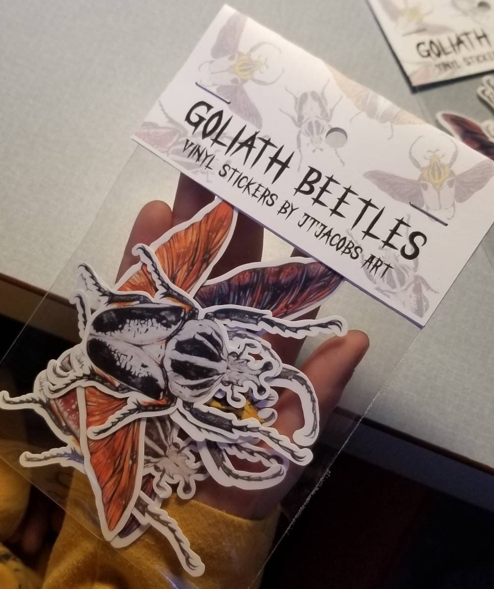 Goliath Beetles Vinyl Stickers, Heat Laminated Stickers, Goliathus Sp ...
