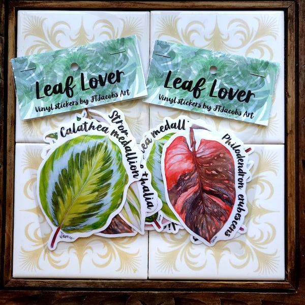 Leaf Lover, houseplants, 5 pack vinyl / stationery stickers