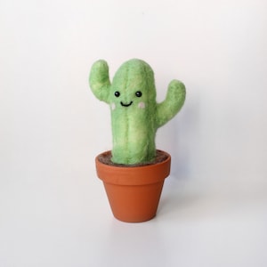 Sweet needle felted cactus and pot
