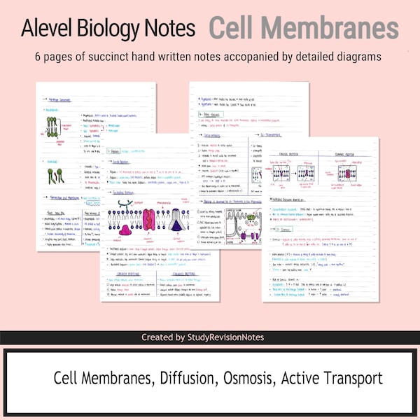 Notes de biologie : Membranes cellulaires - Étudiant A*