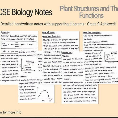 GCSE Biology Notes For Photosynthesis Plant Structures and Etsy
