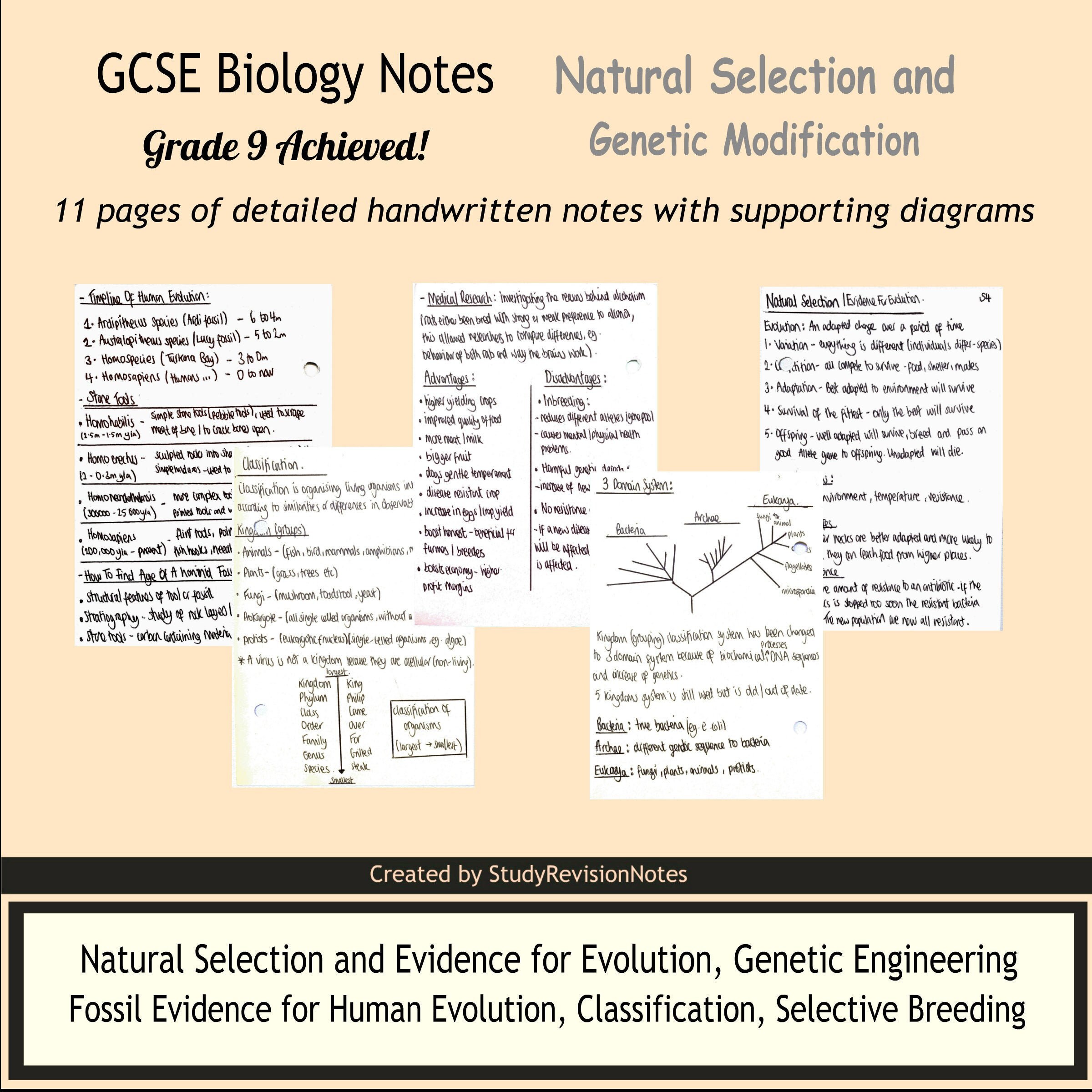 GCSE Biology Notes for Natural Selection and Etsy