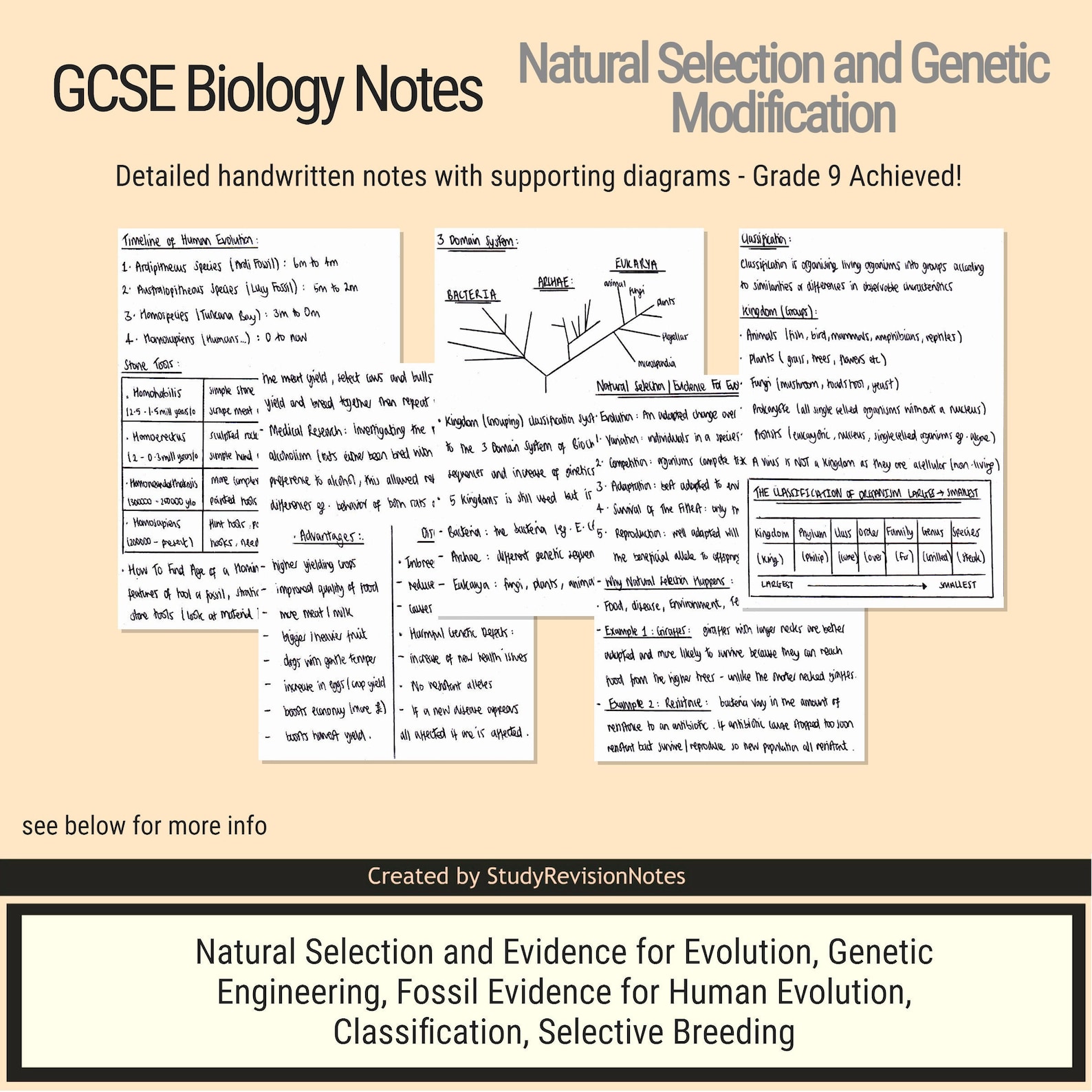 GCSE Biology Notes For Natural Selection and Etsy