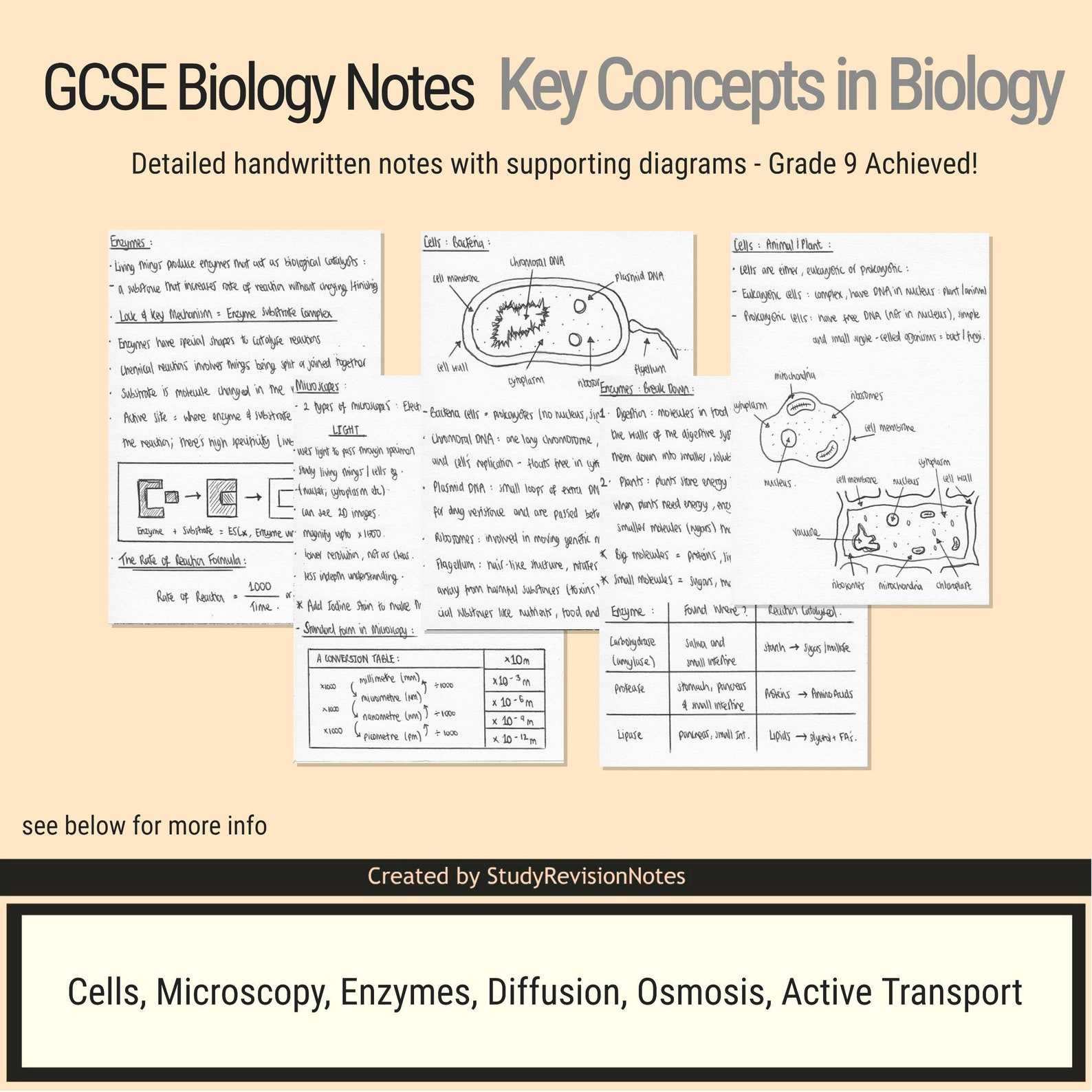 GCSE Biology Notes For Key Concepts in Biology Grade 9 Etsy