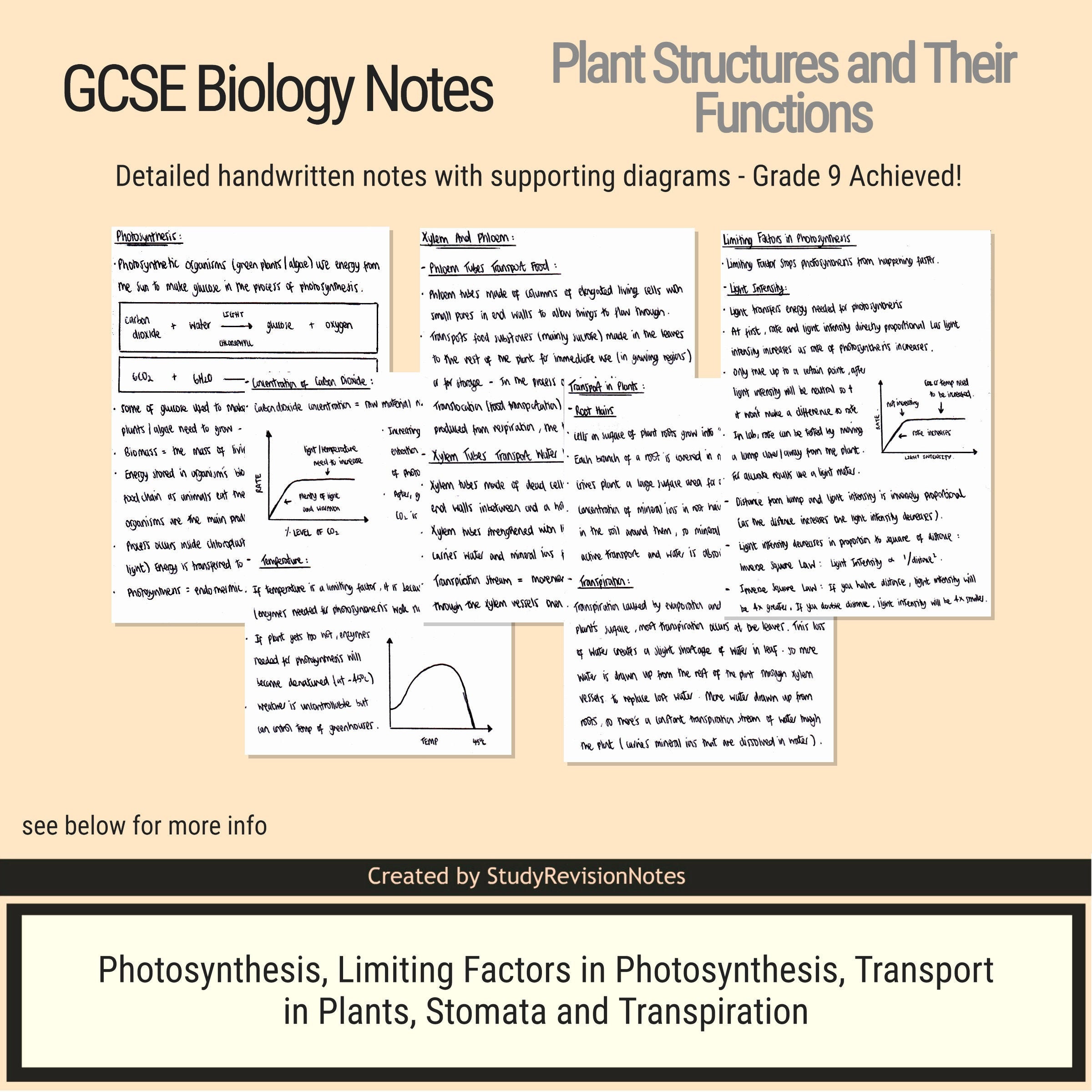 GCSE Biology Notes For Photosynthesis Plant Structures and Etsy UK
