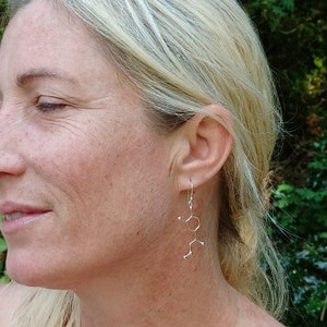 Sterling Silver Adrenaline Molecule Earrings