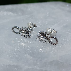 Orecchini a bottone in argento sterling con scorpione