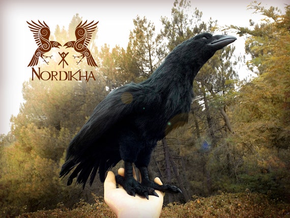 Doll Creature Munin Die Krahe Von Odin Rabe Nordique Etsy