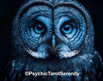 Psychic Wise Owl Spirit Companion    Conjuring   Remote Binding   Psychic Abilities  Magic