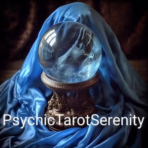 Wise Owl Spirit Companion: Individuality, Acceptance, Resilience (PDF Information Sheet image 3