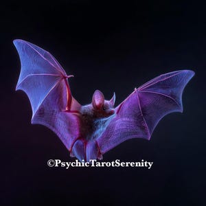 Starlight Bat Spirit Companion Conjuring