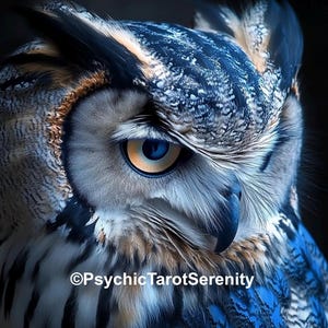 Psychic Wise Owl Spirit Companion    Conjuring   Remote Binding   Psychic Abilities  Magic