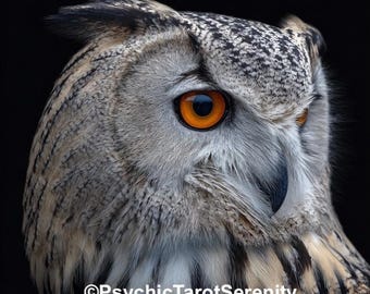 Wise Owl Spirit Companion: Wisdom, Maturity, Intelligence