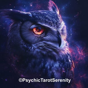 Astral Owl Spirit Companion   Conjuring   Remote Binding  Astral Travel     Astral Support.   Astral Protection
