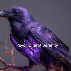 Purple Raven Spirit Companion Conjuring