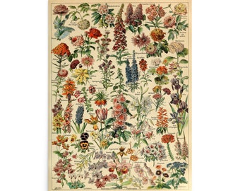 Fleurs 花ボタニカル イラスト レトロ ヴィンテージ Larousse ポスター プリント