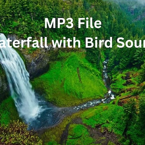 Puede incluir: Un exuberante bosque verde con una cascada que cae por un acantilado rocoso. El agua fluye hacia un arroyo que serpentea a través de los árboles. El texto "MP3 File Waterfall with Bird Sound" está superpuesto a la imagen.