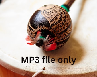 Può includere: Una maraca marrone e nera con piume rosse e verdi. La maraca è appoggiata su un tamburo bianco con il testo "MP3 file only" scritto su di esso.