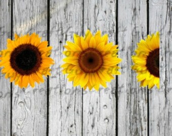 Download Sunflower Svg Etsy