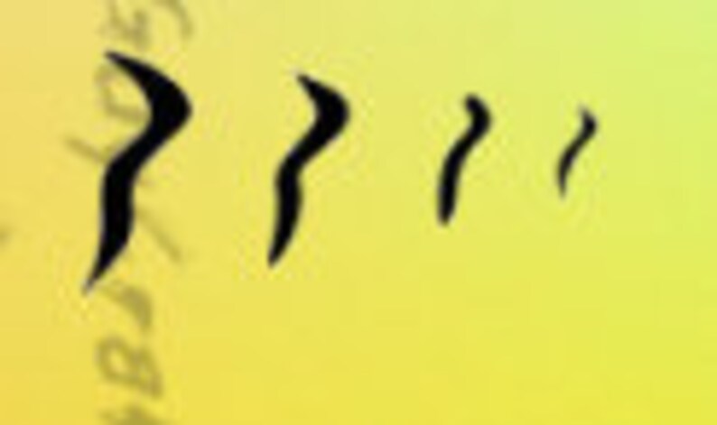 Free Free 122 Fishing Lure Svg For Tumbler SVG PNG EPS DXF File