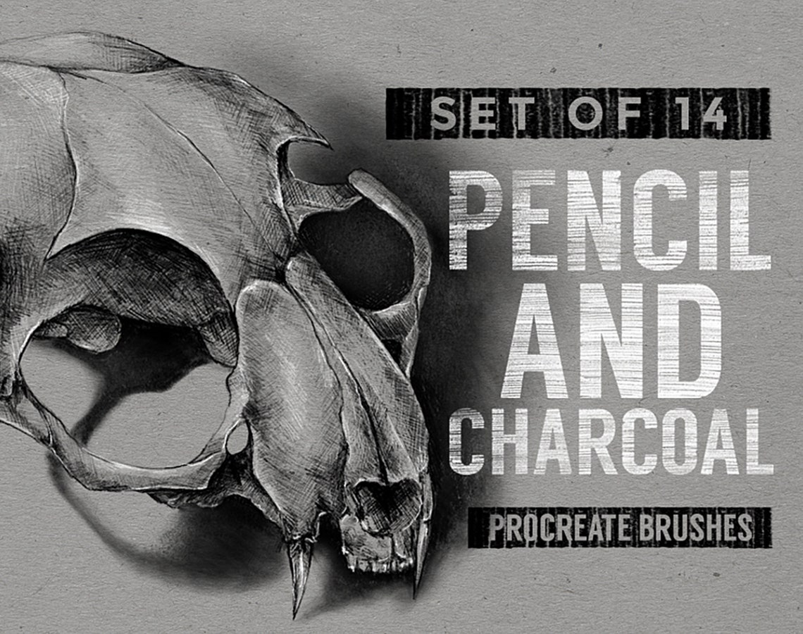 Procreate Pencil & Charcoal Brushes image 0