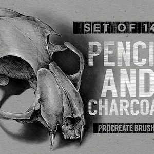 Procreate Pencil & Charcoal Brushes