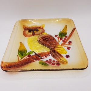 Fused glass owl plate
