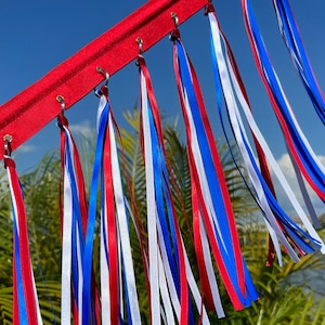 Bike Flag: Red-White-Blue Cycling Flag, Recumbent Bike Flag, Mobility scooter flag, Trike flag, child safety flag