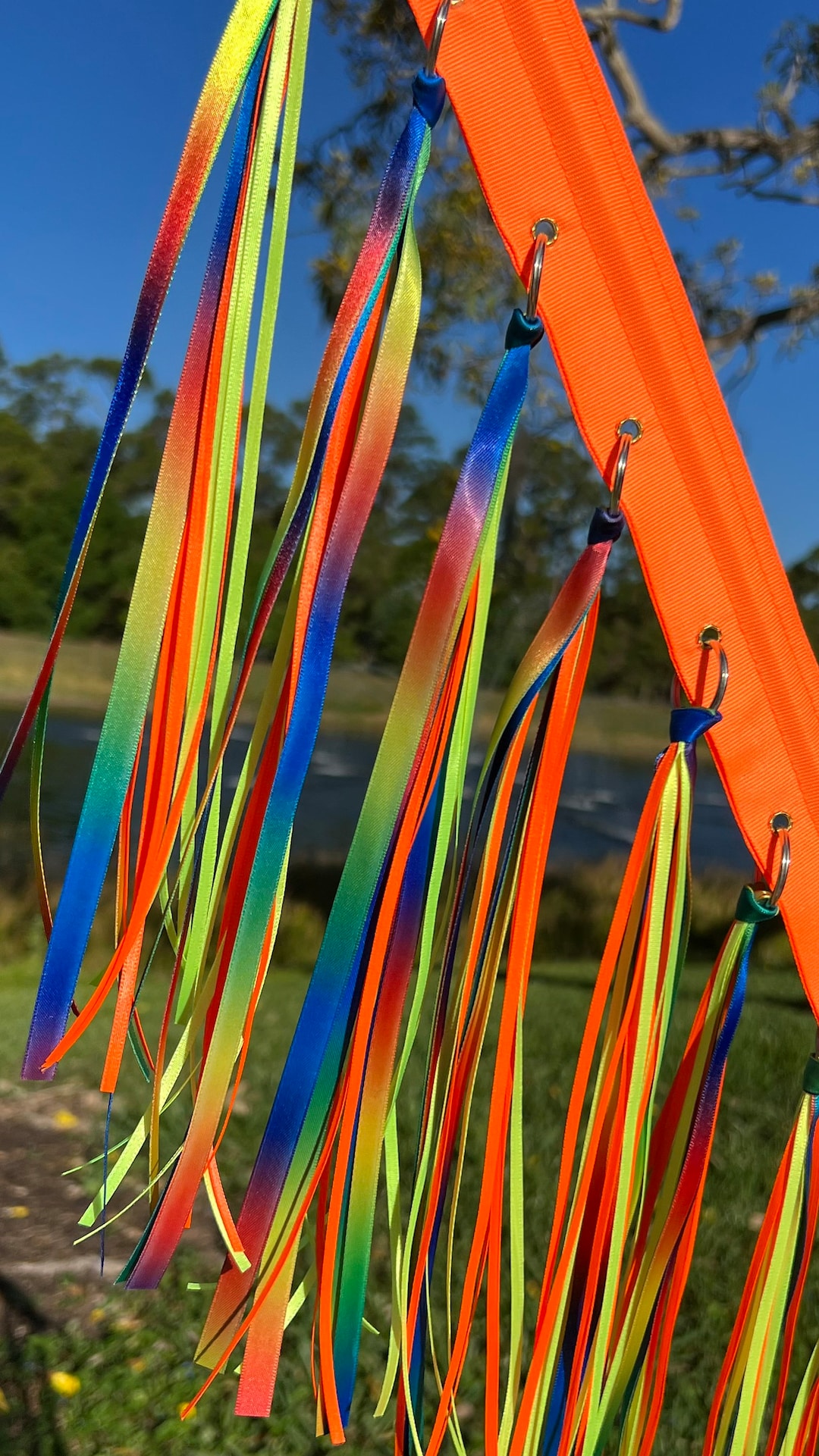 Vibrant Cycling Flag, Recumbent Bike Flag, Mobility Scooter Flag