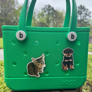May include: A green Bogg bag with a cat and a dog sticker. The bag has two white handles with black "b" buttons.