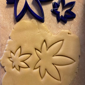 Marijuana leaf