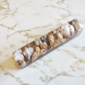 Ocean Sea Shells and Rocks Bar Sealed with Resin Shells