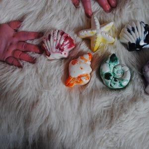 Könnte beinhalten: Ein Set aus sechs bunten, muschelförmigen Badekreiden. Die Kreiden sind in verschiedenen Farben bemalt, darunter Rot, Gelb, Blau, Grün, Lila und Orange.