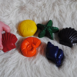Könnte beinhalten: Sechs bunte Wachsmalstifte in Form von Muscheln und einem Seestern. Die Stifte sind rot, orange, gelb, grün, blau und schwarz.