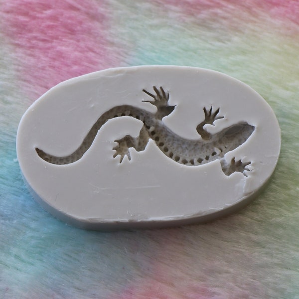 Silicone Mold for Making 3D Lizard with Epoxy Resin