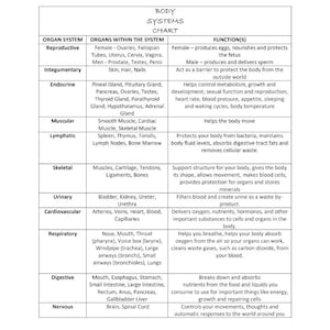 Puede incluir: Un gráfico que describe los diferentes sistemas de órganos del cuerpo humano, incluidos los órganos dentro de cada sistema y sus funciones. El gráfico está dividido en 11 secciones, cada una con un título y una descripción de los órganos y sus funciones.