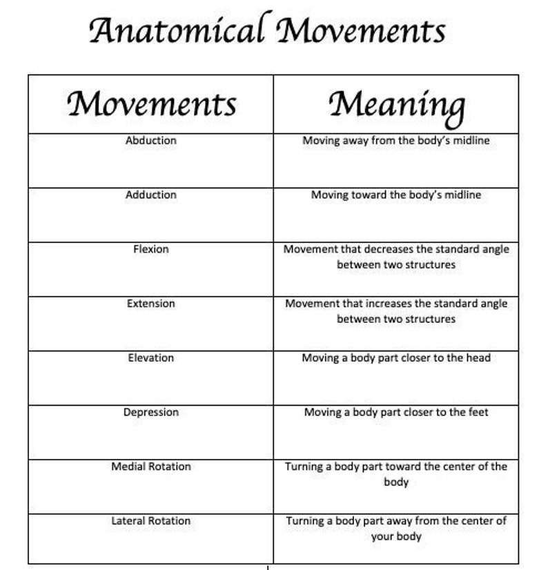 Anatomical Movements - Etsy