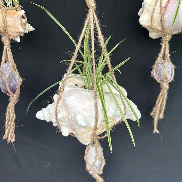 Royal Gaia Planters~ conch seashells planter~ Large 6x7x4” Shell with Natural Clear Quartz Point simple jute hanger