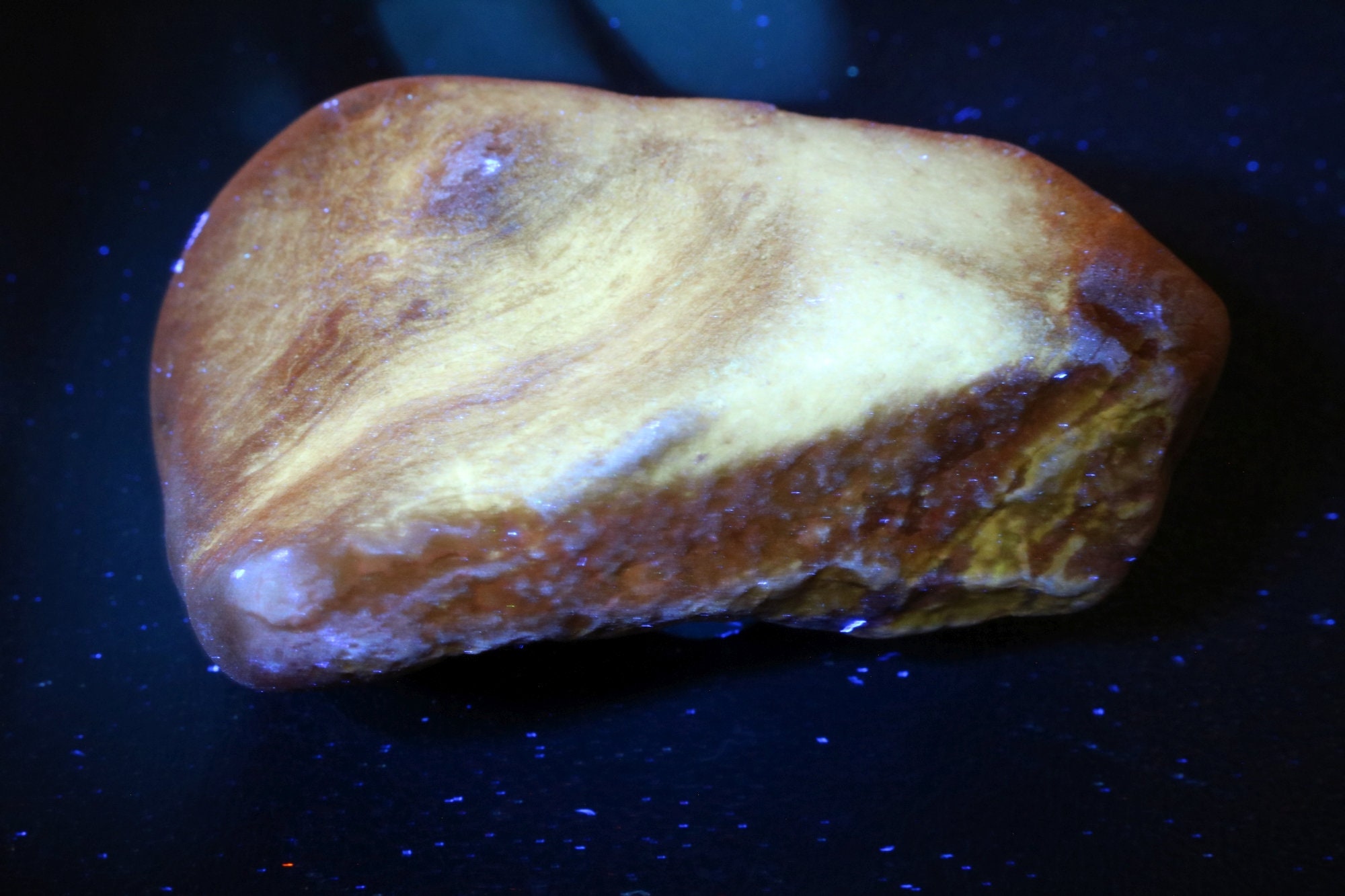 Phosphorescent Calcite Fossil Uv Reactive Rare Great Lakes Etsy