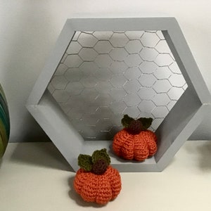 Chicken Wire Decor; Chicken Wire Shelf; Rustic Shelf; Honeycomb Shelf; Farmhouse Shelf