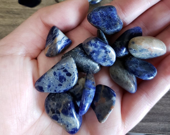 Small Sodalite Tumbled Stone - Sodalite Tumbles for Crystal Gridding