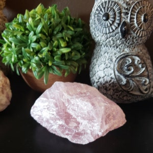May include: A large, rough-cut rose quartz crystal sits on a dark surface. The pink stone is next to a small potted plant with green leaves and a gray owl figurine.