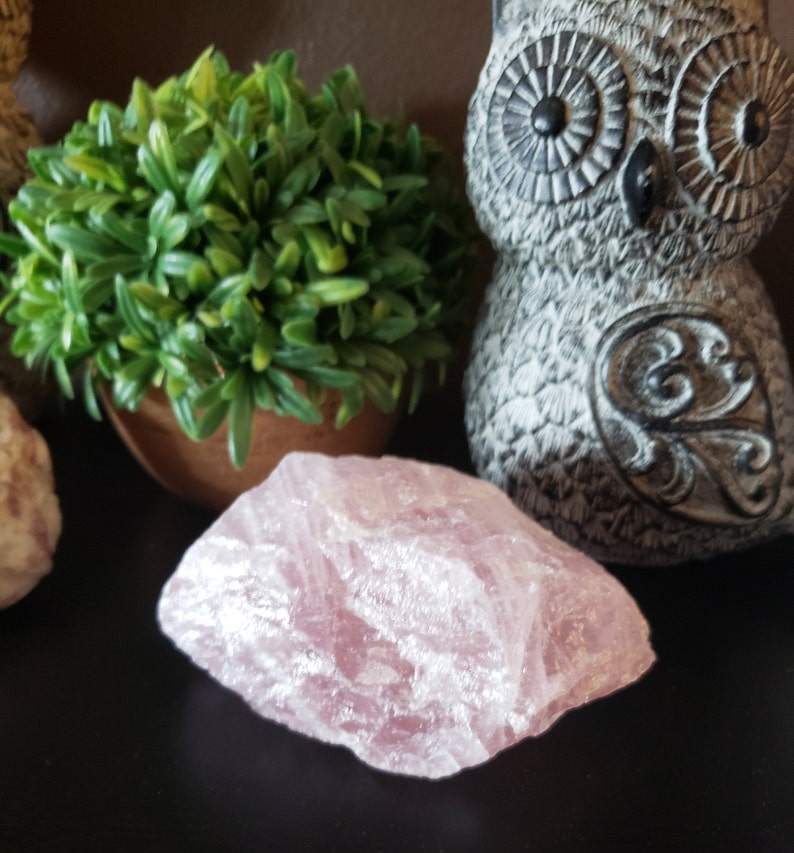 May include: A large, rough-cut rose quartz crystal sits on a dark surface. The pink stone is next to a small potted plant with green leaves and a gray owl figurine.