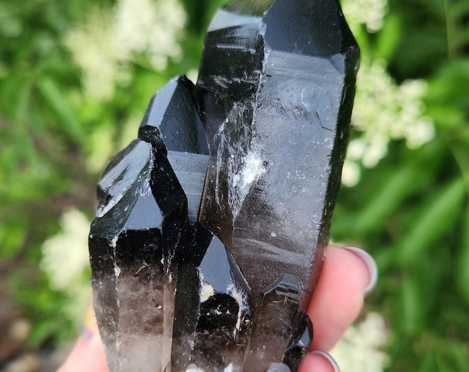 Smoky Quartz Cluster - Black Quartz Point - Smokey Quartz Specimen 2