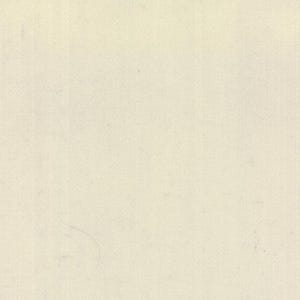 May include: A plain white background with a subtle texture.